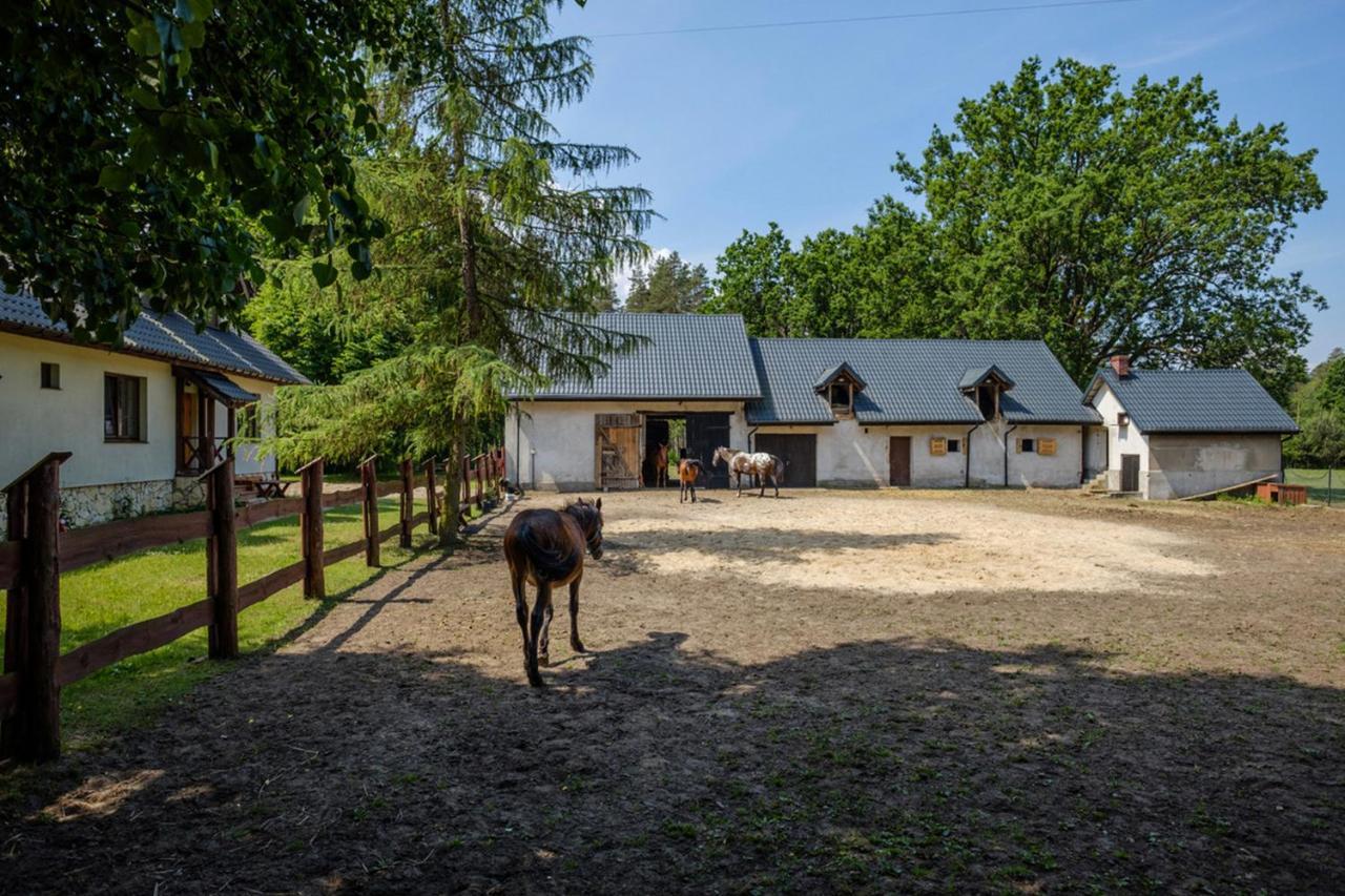 Arche Siedlisko Pilka Lägenhet Lubliniec Exteriör bild